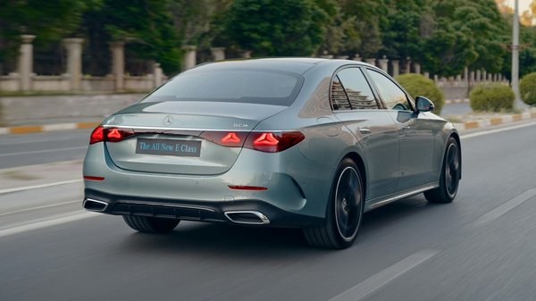 What should you know about pet grooming trends in the UK?